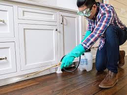 Best Pest Exclusion Services  in Villisca, IA