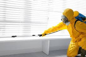 Best Fumigation Services  in Villisca, IA